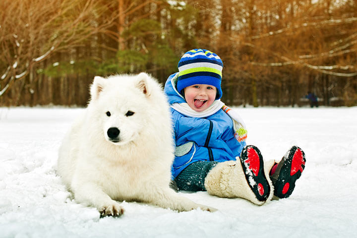 Young boy sitting in snow with dog